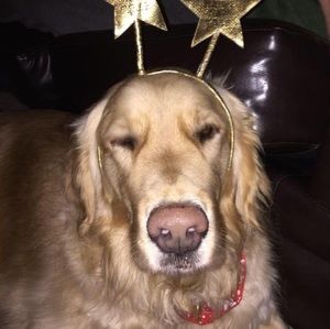 Meet your Posher, Kyla